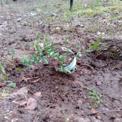 IMG_20250514_151337_555