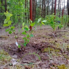 IMG_20250514_151348_067