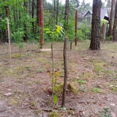 IMG_20250514_151413_893