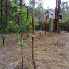 IMG_20250514_151421_692