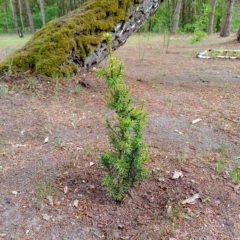 IMG_20250514_151529_378