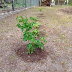 IMG_20250514_151600_360