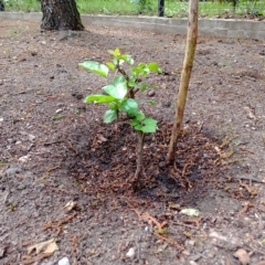 IMG_20250514_151627_724