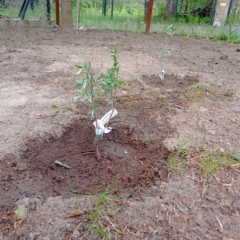 IMG_20250514_151636_614