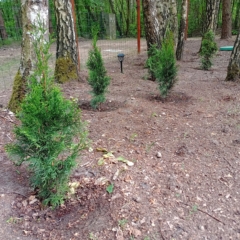 IMG_20250514_151710_946