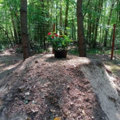 IMG_20250703_112022_418