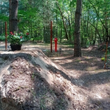 IMG_20250703_112032_175