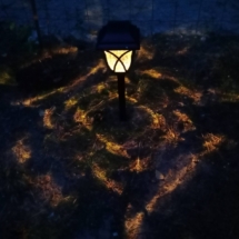 IMG_20250706_214804_474